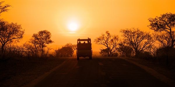 Safari vehicle driving on a road at sunset with silhouetted trees.