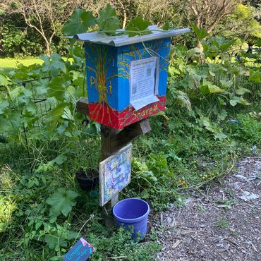 Seed Swap Box - Rhoneymeade