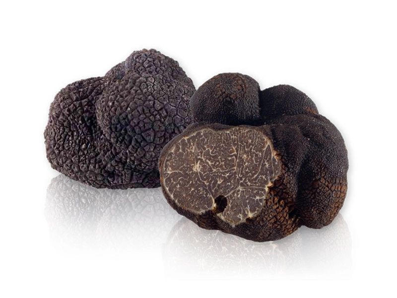 Buy fresh black French Melanosporum truffle 50 gr | Faye Gastronomie