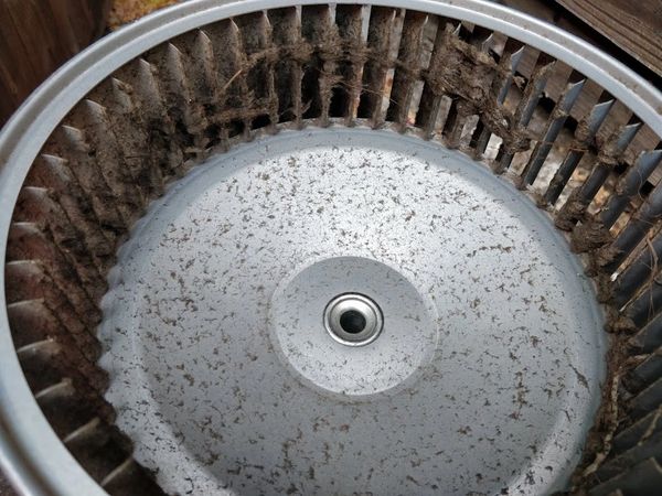 Dirty blower motor BEFORE cleaning