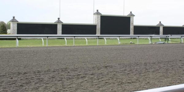 Keeneland Cut Stone