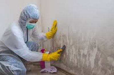 Technician in protective gear disinfecting a contaminated area during biohazard cleanup