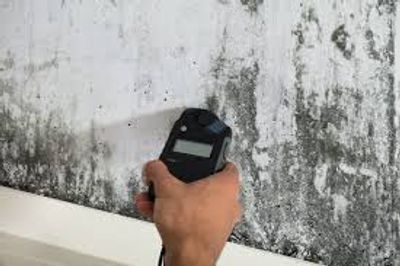 Technician testing a mold-damaged wall for moisture during mold remediation