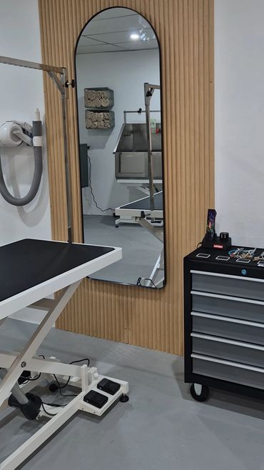 Grooming table