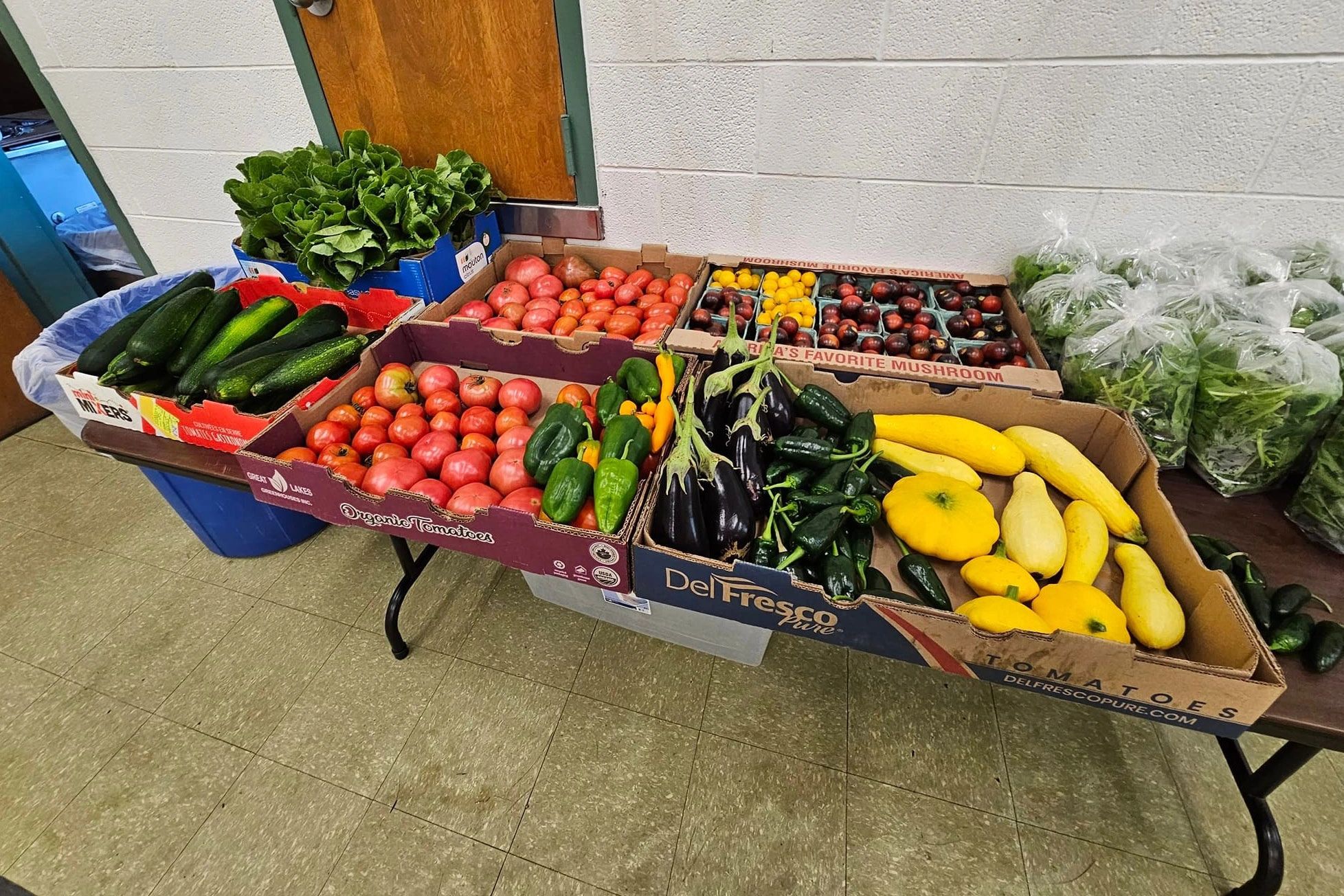 Your contributions enable us to meet our goals by supporting Abenaki Helping Abenaki, Inc., a small