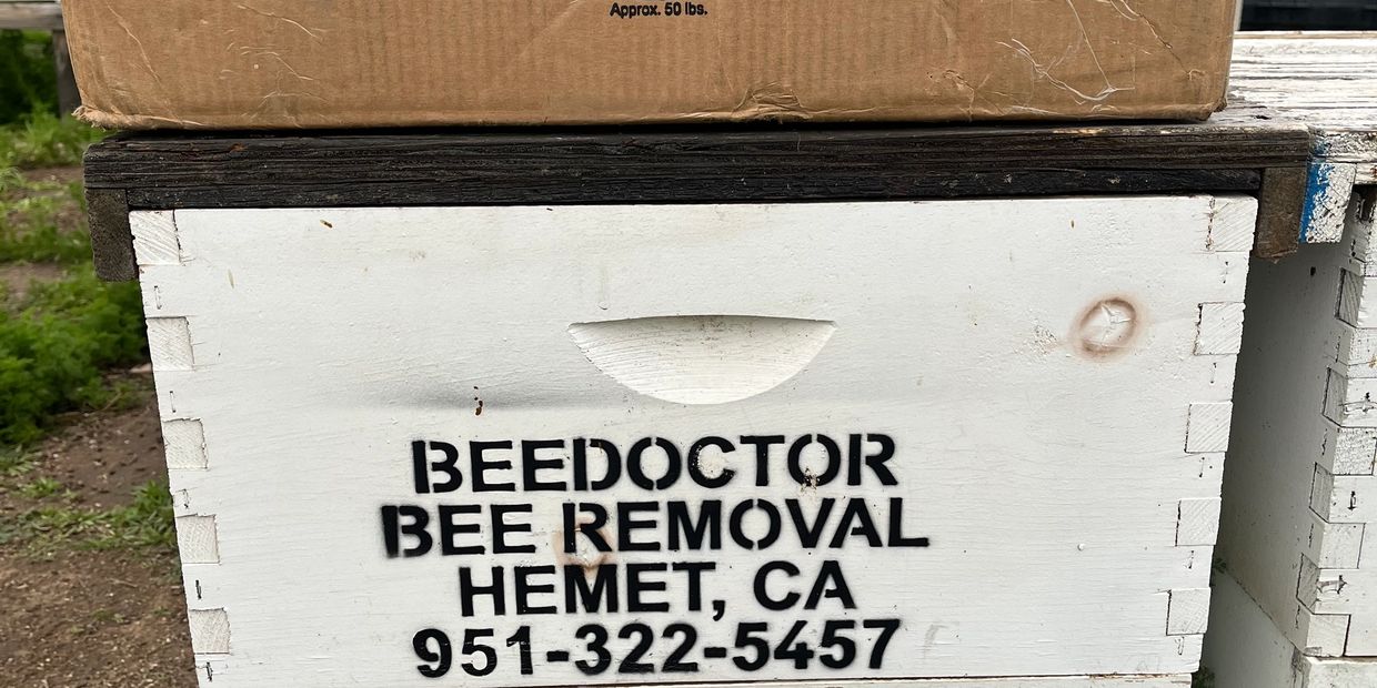 Bee Removal Menifee California