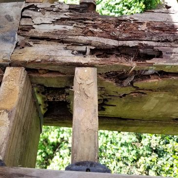 beam having dry rot