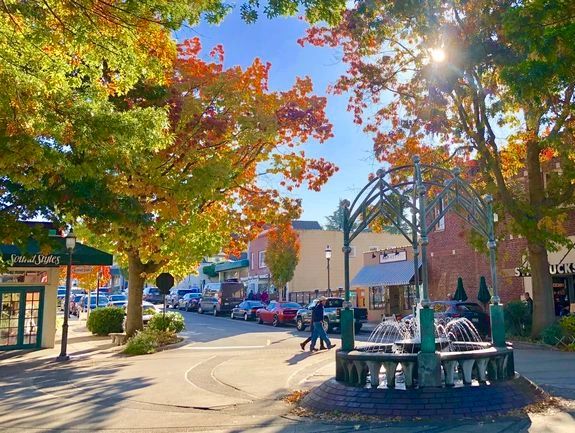 trees around a walkable roundabout with shops around the area