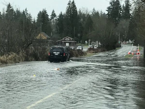 car driving through s flooded rood