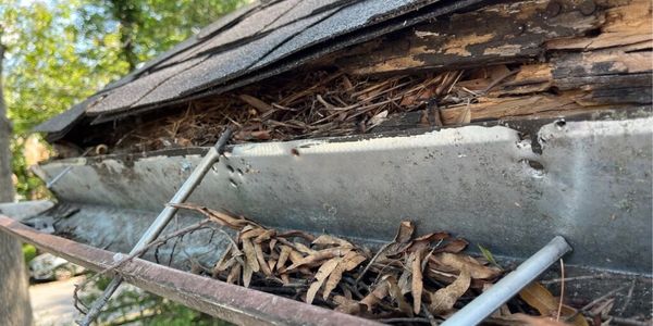 rot under roof tiles