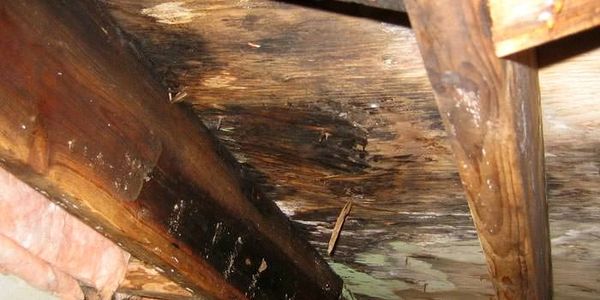 subfloor with dry rot in crawl space