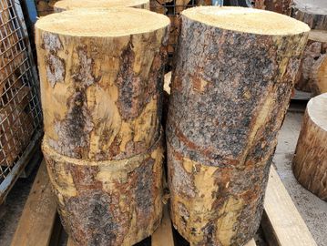 Chopping blocks for splitting firewood for sale at the Koi Lagoon in Fort Collins