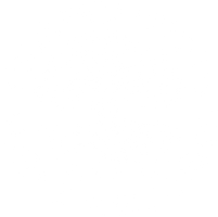 Twisted Roots Yoga & Wellness
