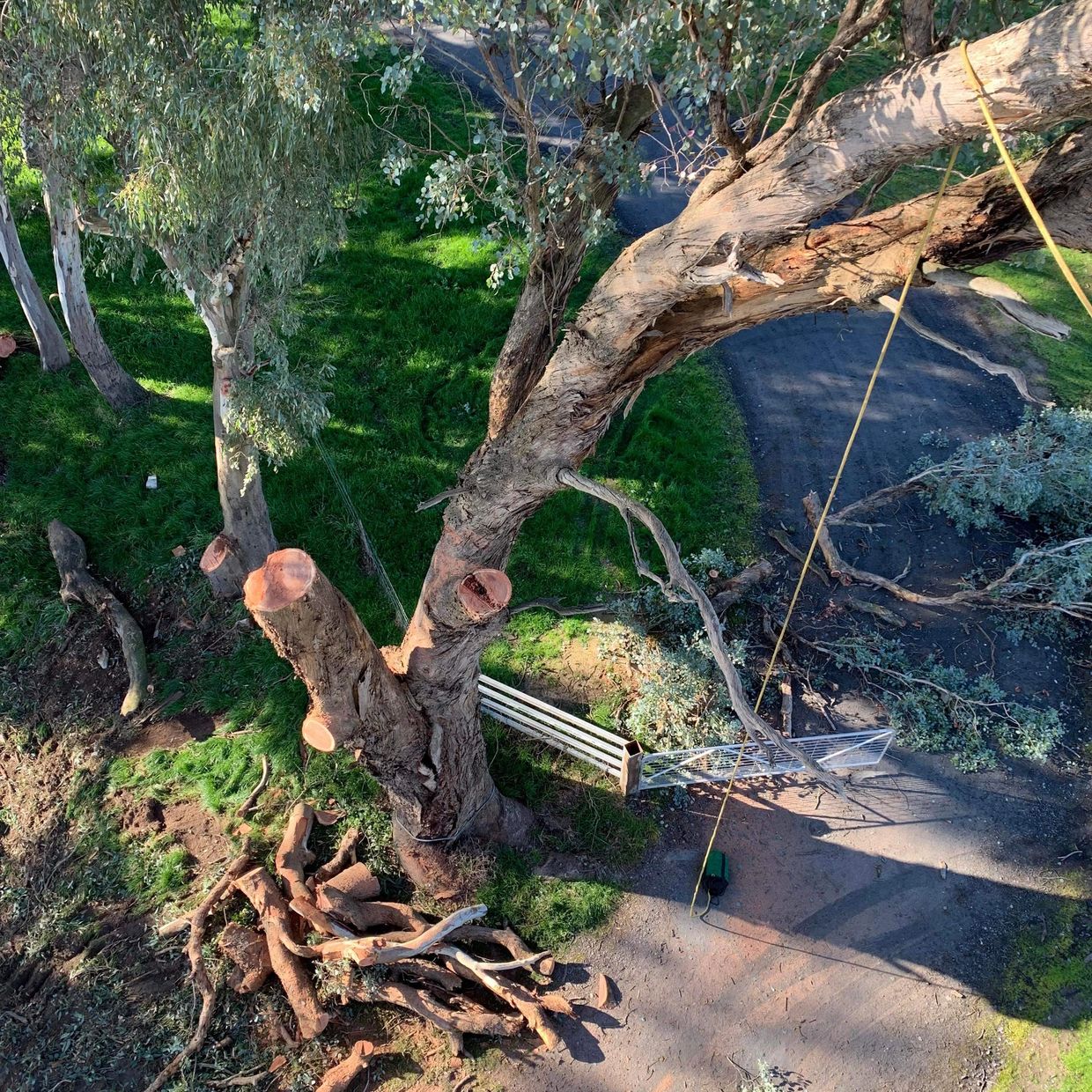 Tree lopping wodonga
Tree lopping Albury
Tree lopping Wangaratta