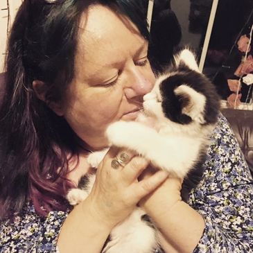 Kitten being cuddled