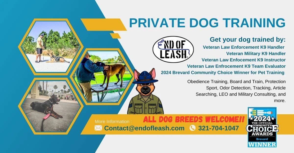 Expert Dog Training | Obedience Training for All Breeds