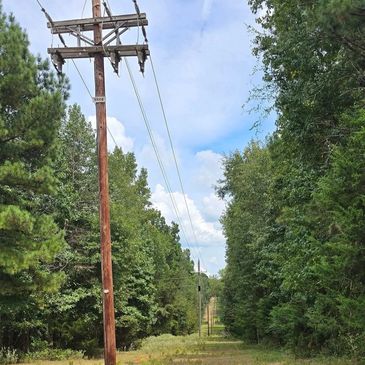 Power lines run through a green forest under a blue sky.