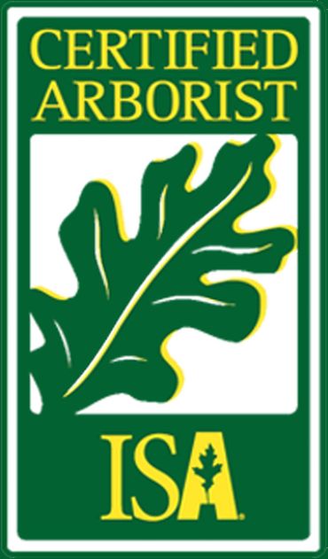 Certified Arborist ISA logo with oak leaf design in green and yellow.