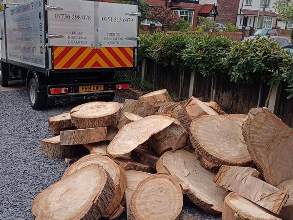 tree surgeon delivering logs