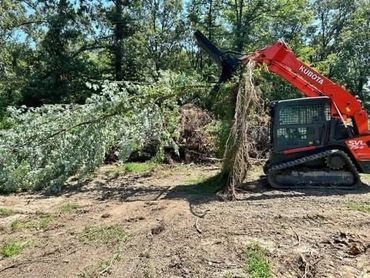 Tree Removal and piled for burning