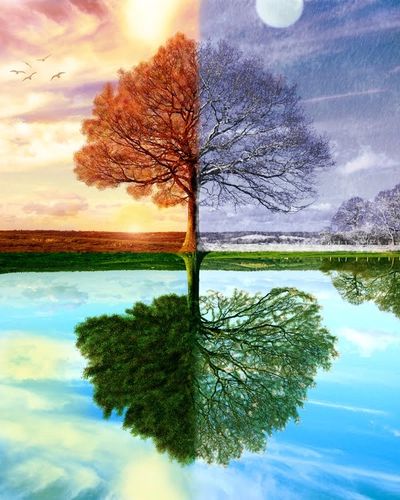 Reconnect to Nature courses. Online course.