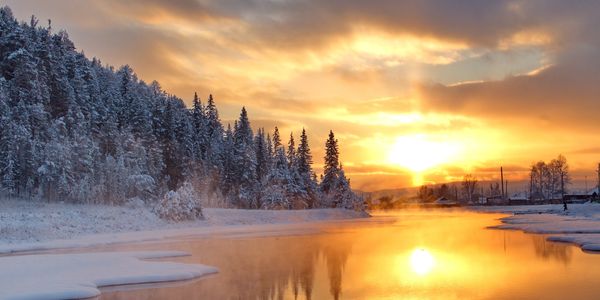 Reconnect to Nature courses. Online course. Winter.