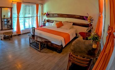 In addition to being surrounded by diverse wildlife, our lodge offers exceptionally comfortable accommodations, essential for fostering a connection with yourself and nature. Guided by our Kichwa Shaman, this environment enhances the Ayahuasca ceremony, providing a tranquil and supportive setting amidst the vibrant beauty of the Amazon rainforest.