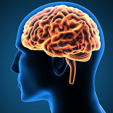 Diet & Hormones can influence our brain activities. Find out how you fare at Hava Oaks Behavioral.
