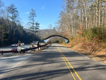 Scenic road with arch bridge and parking area surrounded by trees.
