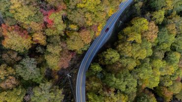 A winding road surrounded by colorful autumn trees.