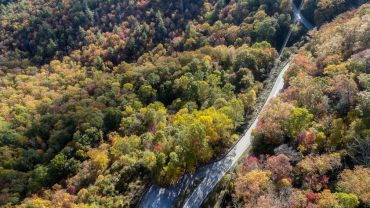 A winding road through a colorful autumn forest.