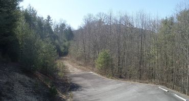 Road ending with a forest path ahead in a wooded area.