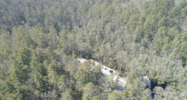 Parking area surrounded by dense forest.