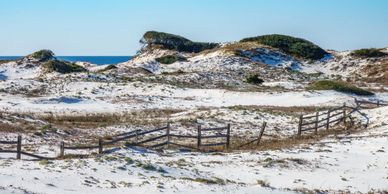 Sandy dunes with sparse vegetation and a wooden fence under a clear blue sky.
