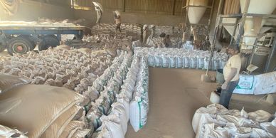 Warehouse filled with bags and workers managing them.