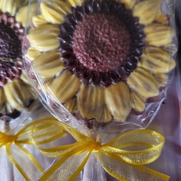 Sunflower Chocolate Pop