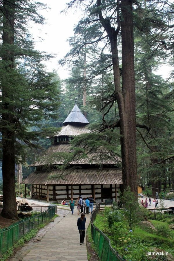 A wooden temple amidst dense forest trees with visitors around.