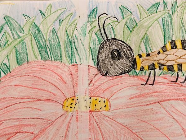 Bee flower drawing
