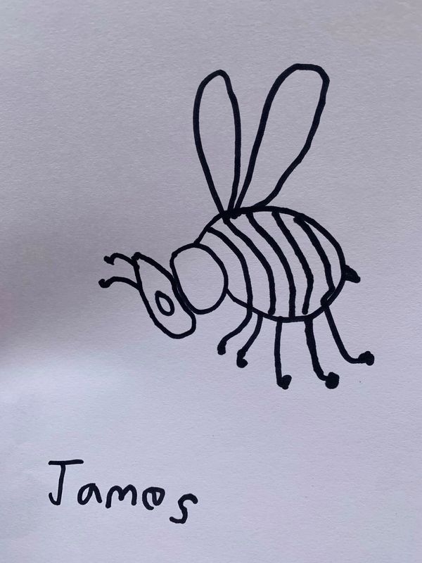 worker bee drawing
