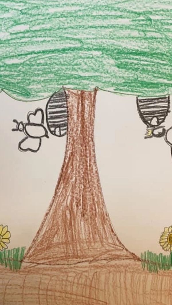 worker bee hive drawing