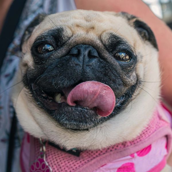 Lucy