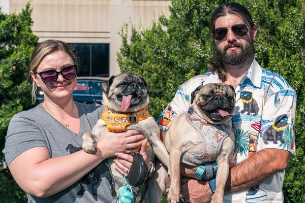 Joanna, Mugsy, Spanky and Mike