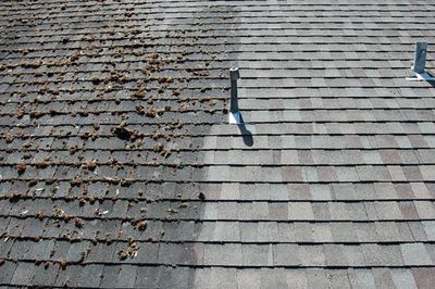Roof cleaning. Side by side!