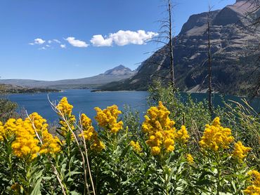 Glacier National Park