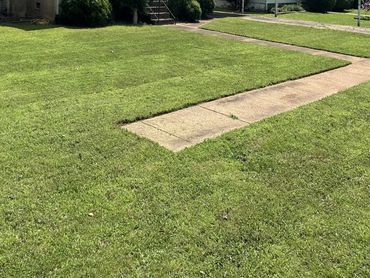 Aesthetically pleasing front lawn.