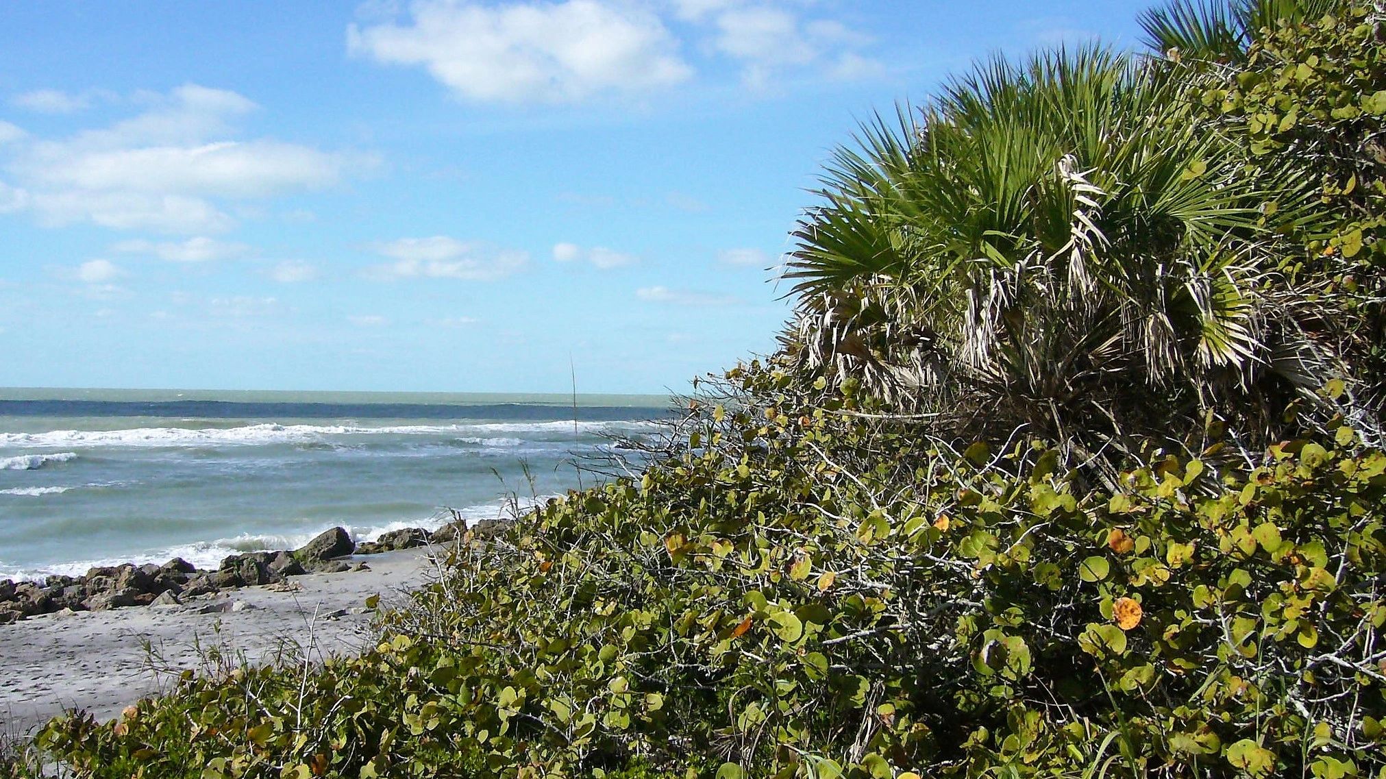 Realtor Bonnie On The Beach Real Estate