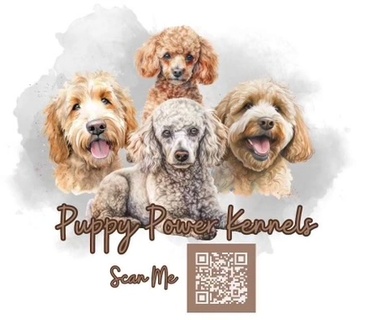 Puppy Power Kennels