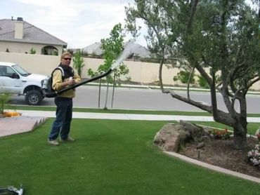 Pollen Application Service