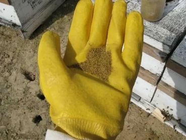 Pollen Application Service