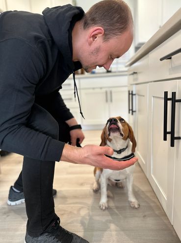 Mold Dog, Mold Dog Inspections, Mold Hound Inspections, Mold Inspections, Mold